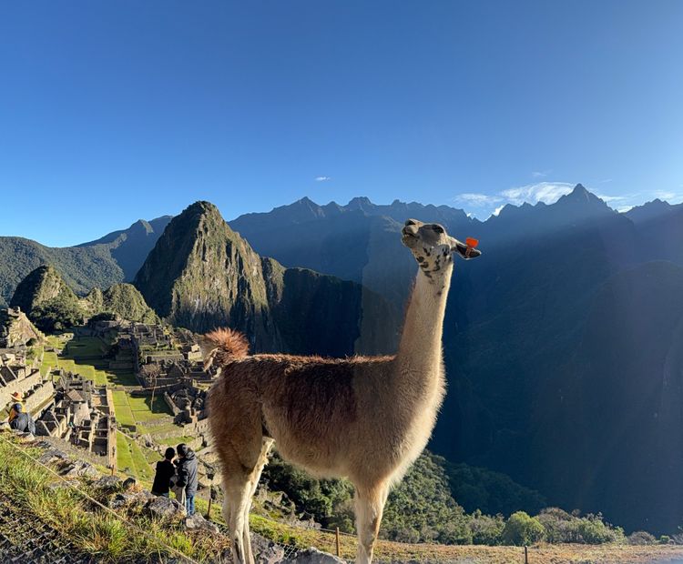 Machu Picchu Full Day